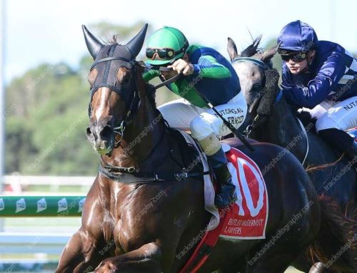 BLACK TYPE ASPIRATIONS FOR TALENTED MARE