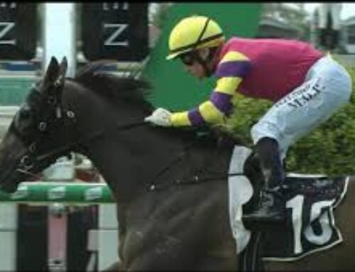 TWO PRONGED ATTACK AT MURWILLUMBAH 